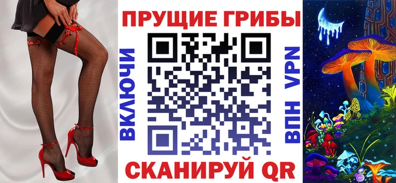 купить закладку Пересвет Псилоцибиновые грибы Cubensis